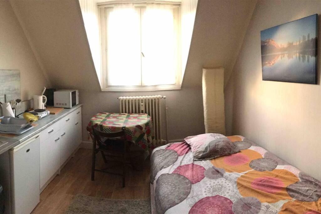 Studio Saint-Andre Chambéry 외부 사진